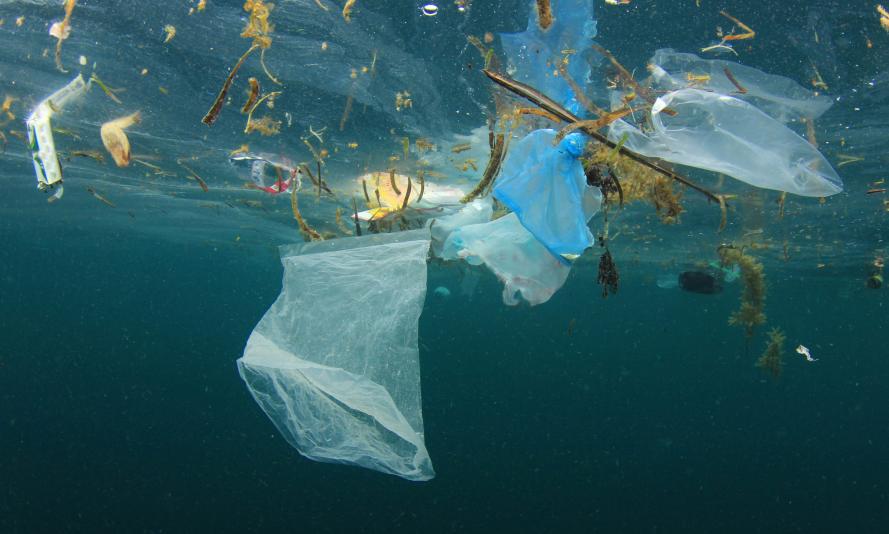 a view from underwater shows plastic bags and other debris floating in the sea
