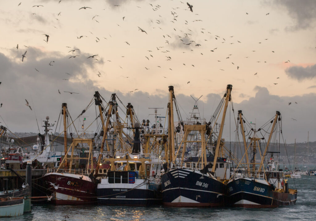 Fishing boats moored in Brixham harbour in Devon, England