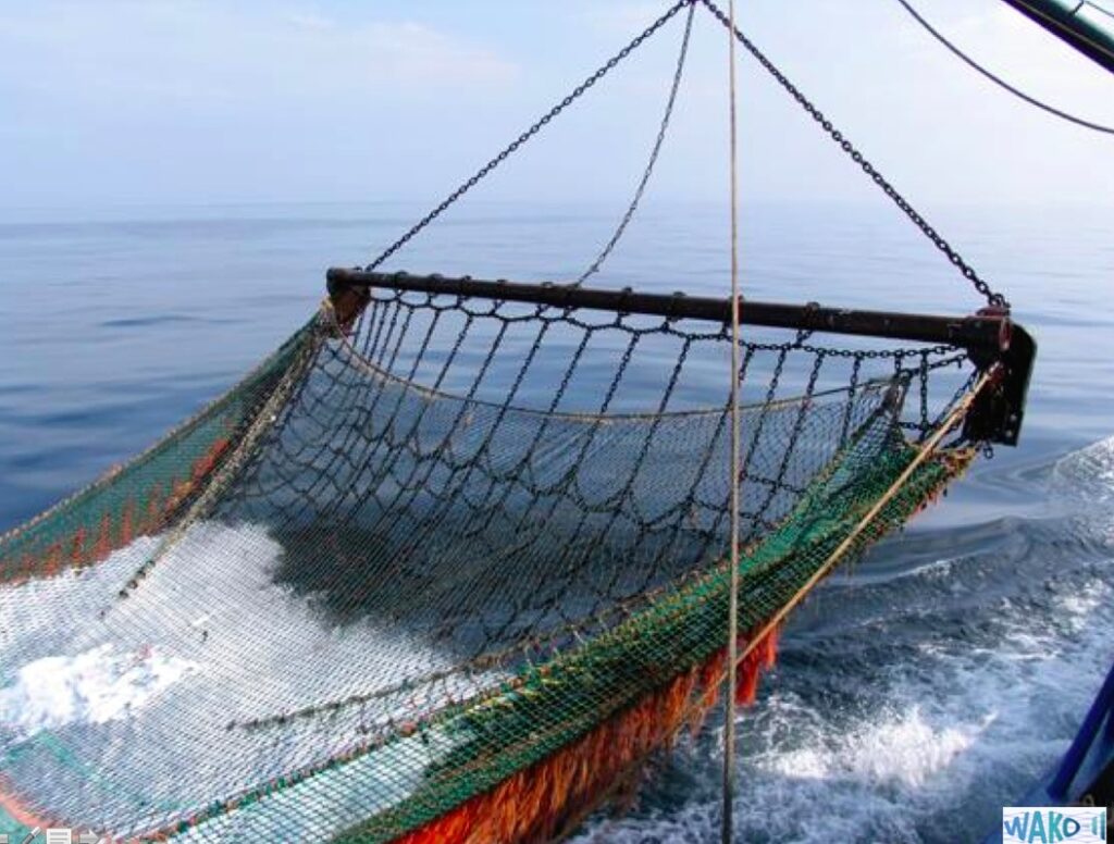traler nets going inot the water